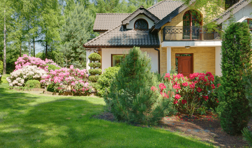 Nieto's Landscaping 